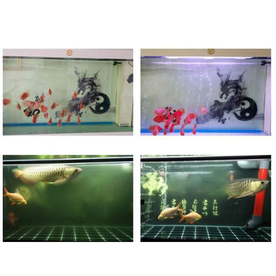 Eko-Akvarium Kub Vattenrengörare