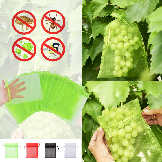 Skyddspåse för frukt (100 PCS)