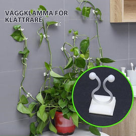 Väggklämma för klätterväxt