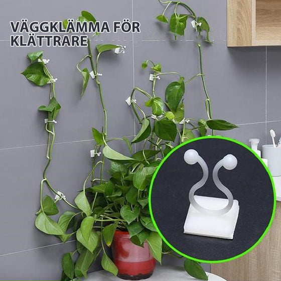 Väggklämma för klätterväxt