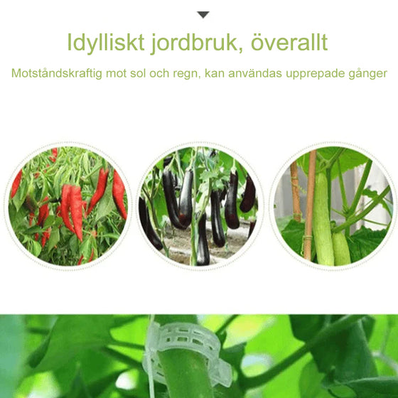 Plantstödsklämmor