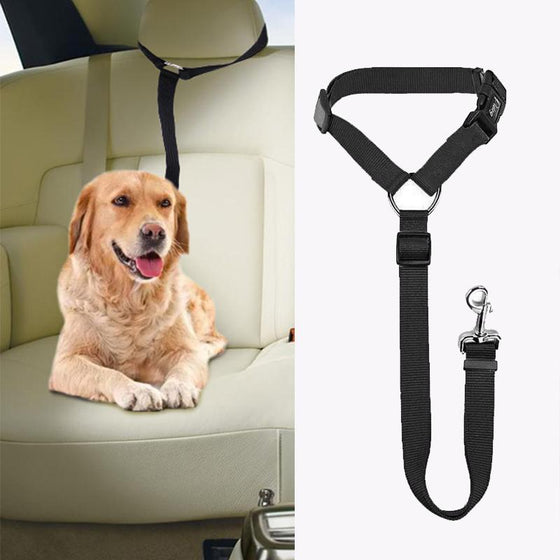 Justerbart hundkoppel | Bil