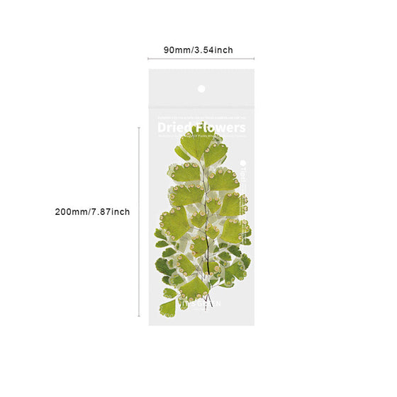 Dried Flowers Stickers Set