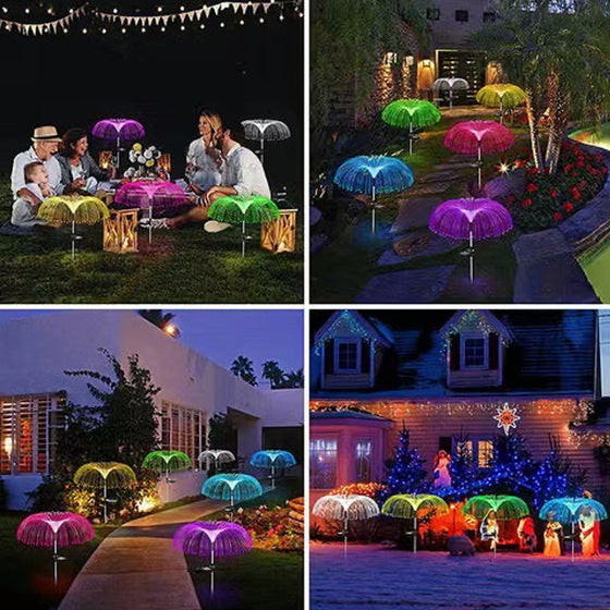 Manet gräsmatta solljus