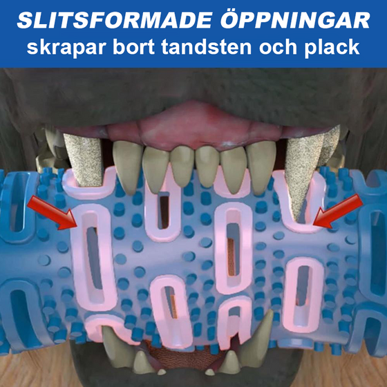 Hundtuggborste tandborste | tandrengöringsleksak