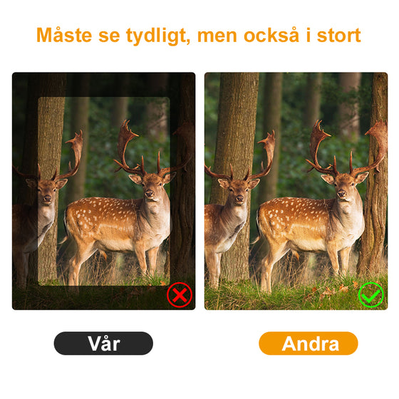 Professionellt HD Binokulär Med Sikt för Svagt Ljus