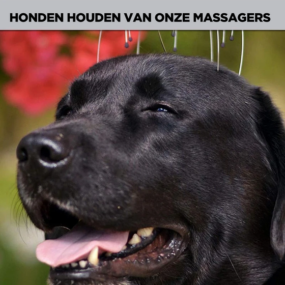 Hårstimulering och avslappning Handhållen huvudmassage