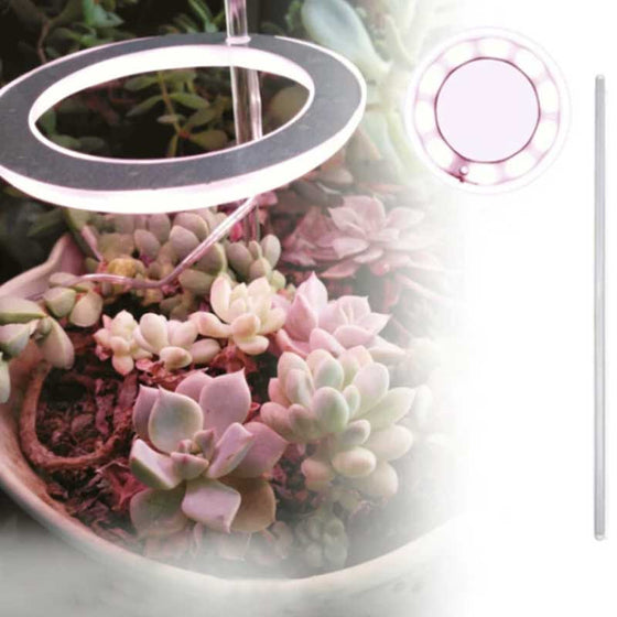 Odlingslampor för inomhusväxter