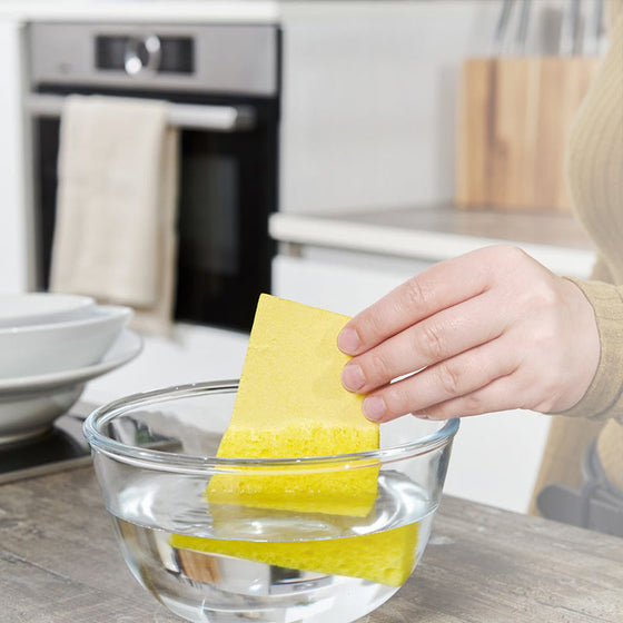 Komprimerad färgad svamp kökshandduk