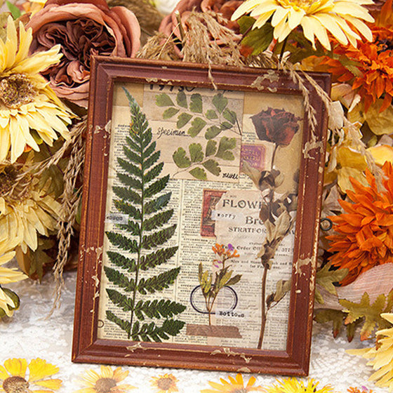 Klistermärken set med torkade blommor