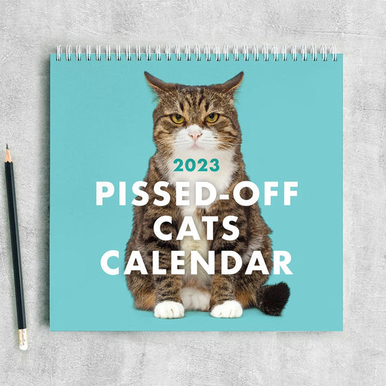 😾 2024 arga kattkalender