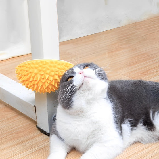 Durian husdjursklös- och håravlägsningsleksak