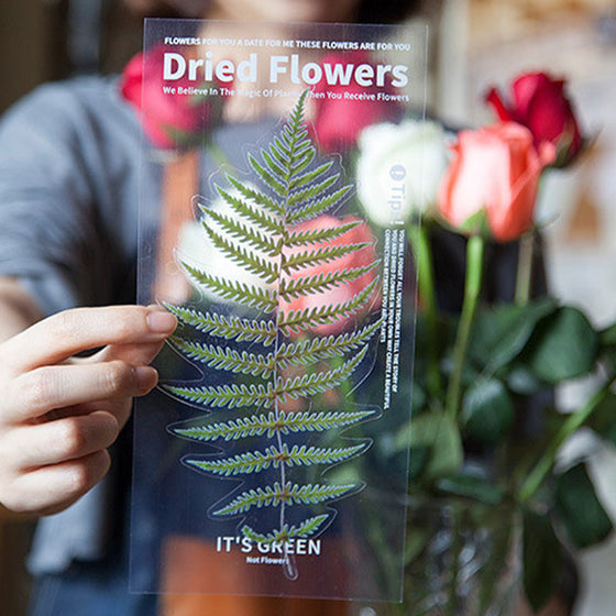 Klistermärken set med torkade blommor