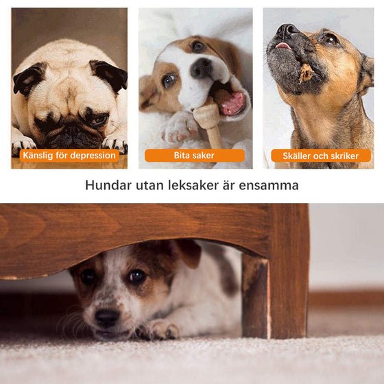 Interaktiv Matläckare med Sugkopp