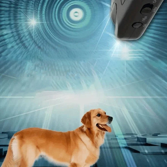 Handhållen lysande ultraljudsskällare för djur