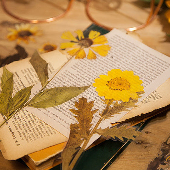 Dried Flowers Stickers Set