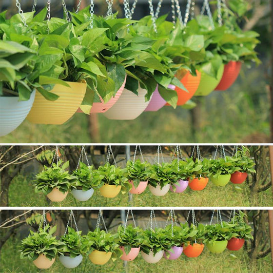 Utomhus trädgård hängande blommakorgar