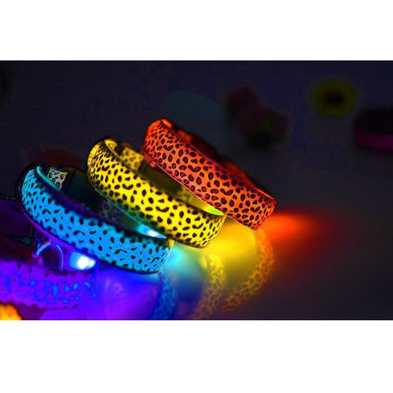 LED lysande hundhalsband