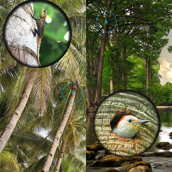 Bärbart fickteleskop