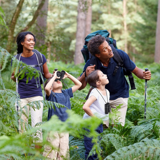 Professionellt HD Binokulär Med Sikt för Svagt Ljus