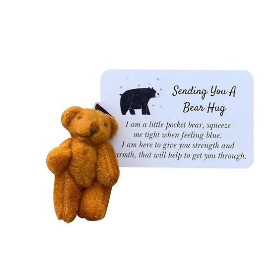 En liten Pocket kram björn