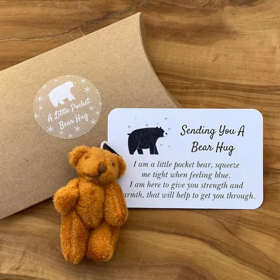 En liten Pocket kram björn