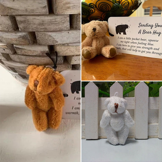 En liten Pocket kram björn