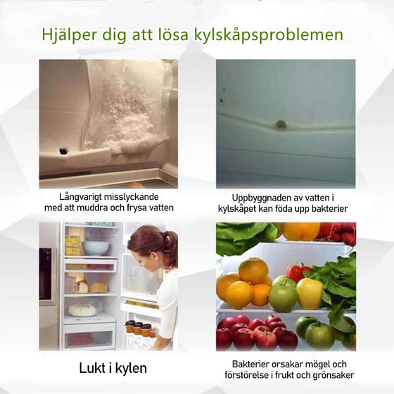 Kylrengöring Miniborste